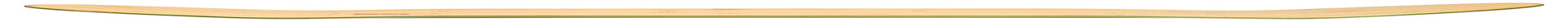 Blank Skateboard Deck - POP - Strength - Sustainability 8.25